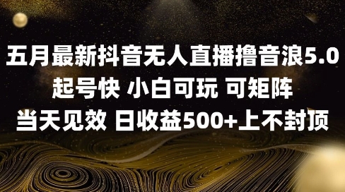 2025五月最新无人直播撸音浪单日产出5张+实操教程【揭秘】-乌龙学社