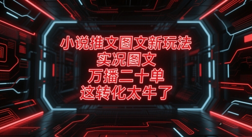 小说推文图文新玩法，实况图文，万播二十单，这转化太牛了！-乌龙学社