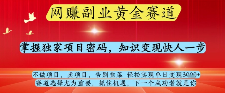 网创副业黄全赛道，掌握独家项目密码，知识变现快人一步，告别韭菜轻松实现单日变现1k+【揭秘】-乌龙学社