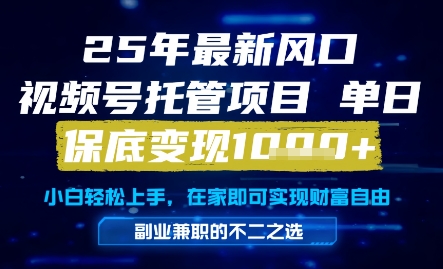 25年最新风口，视频号托管项目，单日保底变现1k+，手把手教学【揭秘】-乌龙学社