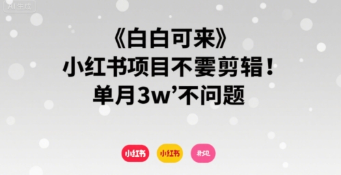 小白可来 小红书项目不需要剪辑 单月3w不是问题-乌龙学社