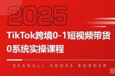 TikTok跨境0-1短视频带货，系统拆解TikTok跨境带货全链路，实现跨境可持续盈利-乌龙学社