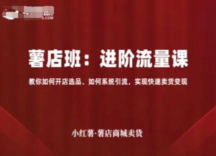 小红薯薯店商城卖货，进阶流量课，教你如何开店选品、如何系统引流，实现快速卖货变现-乌龙学社