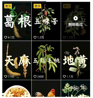 抖音中草药赛道，用AI做中草药故事视频，45条作品涨粉13W，橱窗带货猛猛出单-乌龙学社