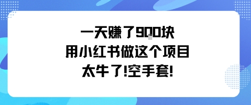 一天挣了9张用小红书做这个项目太牛了，空手套-乌龙学社