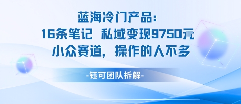 蓝海项目：16条笔记私域变现9750米小众赛道操作的人不多-乌龙学社