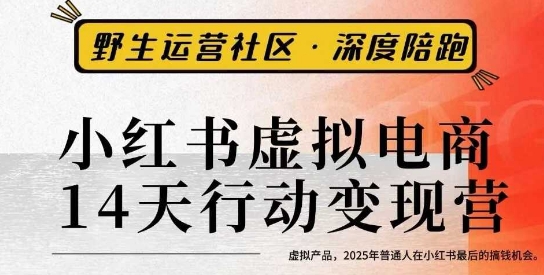 小红书虚拟电商14天变现训练营3.0，​虚拟产品，2025年普通人在小红书最后的搞钱机会-乌龙学社