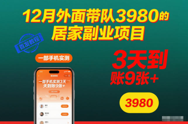12月外面带队3980的居家副业项目，一部手机实测3天到账9张+，首发教程【揭秘】-乌龙学社
