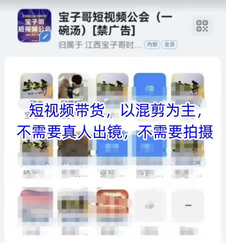 宝子哥头部团队短视频带货，以混剪为主，不需要真人出镜，不需要拍摄【更新11月】-乌龙学社