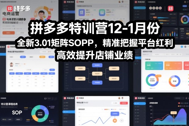 拼多多特训营12-1月份，全新3.01矩阵Sop，精准把握平台红利，高效提升店铺业绩-乌龙学社