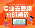 专业去视频水印教程 静态水印、动态水印、文字水印、图片水印一套教程通通搞定-乌龙学社