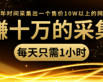 年赚十万的采集站，每天却只需要1小时，一年时间采集出一个售价10W以上的网站-乌龙学社