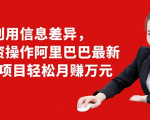 利用信息差异，零投资操作阿里巴巴最新管道项目轻松月赚10000+-乌龙学社