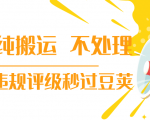 抖音纯搬运 不处理 小技巧，30秒发一个作品，避免违规评级秒过豆荚-乌龙学社