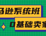 亚马逊系统班，专为0基础卖家量身打造，亚马逊运营流程与架构-乌龙学社