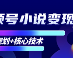 柚子微信视频号小说变现项目，全新玩法零基础也能月入10000+【核心技术】-乌龙学社