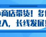 微信小商店带货，爆单多倍收入，长期复利循环！日赚300-800元不等-乌龙学社