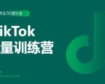 2020最新TikTok流量增长训练营（完结）附PPT-乌龙学社