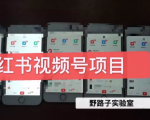 野路子小红书视频号1.0项目，直接上手操作就能赚钱的视频号项目-乌龙学社