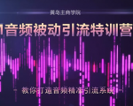 黄岛主·FM音频引流特训营2.0：独家引流模式，单账号50W+播放量，轻松变现-乌龙学社