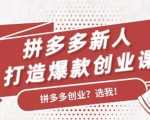 拼多多新人打造爆款创业课：快速引流持续出单，适用于所有新人-乌龙学社