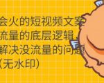 只说话就会火的短视频文案课，从根本上解决没流量的问题-乌龙学社