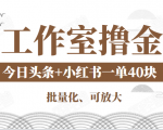 工作室撸金二件套：撸今日头条原创收益+小红书一单利润40块项目-乌龙学社