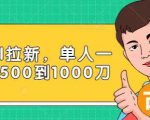 Paypal拉新赚美刀项目，单人一天利润500-1000刀【视频课程】-乌龙学社