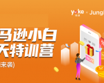 雨课·亚马逊小白特训营第9期 跨境电商挺赚钱的 有朋友已经月入几十万美金-乌龙学社