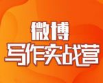 村西边老王·微博超级写作实战营，帮助你粉丝猛涨价值999元-乌龙学社