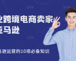 职业跨境电商卖家聊亚马逊：亚马逊运营的10项必备知识，12堂课让你看懂亚马逊运营-乌龙学社
