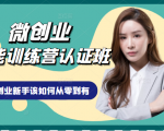 微创业全能训练营认证班课程，从理论知识与实际案例手把手指导创业新手如何从零到有-乌龙学社