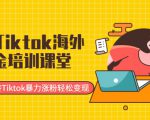 最新Tiktok海外掘金培训课堂:带你玩转Tiktok暴力涨粉轻松变现-乌龙学社