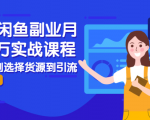 2021闲鱼副业月入过万实战课程：从开店到选择货源到引流，全程实战教学-乌龙学社