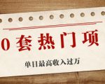 30套热门项目：单日最高收入过万 (网赚项目、朋友圈、涨粉套路、抖音、快手)等-乌龙学社