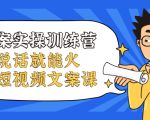 文案实操训练营，只说话就能火的短视频文案课-乌龙学社