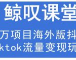 鲸叹号·海外TIKTOK训练营，百万项目海外版抖音tiktok流量变现玩法-乌龙学社