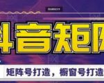 高鹏圈·抖音带货矩阵项目，起号成功率100%，出单率100%！-乌龙学社