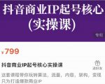 抖音商业IP起号核心实操课，带你玩转算法，流量，内容，架构，变现-乌龙学社