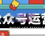 零零已久·从0-1运营公众号，零基础小白也能上手，系统性了解公众号运营-乌龙学社
