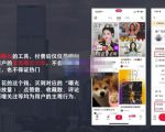 麦子互娱短视频带货·0基础做好物分享账号，无需出镜无需货源无需拍摄-乌龙学社