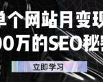 单个网站月变现100万的SEO秘密，百分百做出赚钱站点-乌龙学社