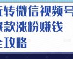 玩转微信视频号爆款涨粉赚钱全攻略，让你快速抓住流量风口，收获红利财富-乌龙学社