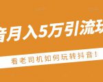 老古董·抖音月入5万引流玩法，看看老司机如何玩转抖音(附赠：抖音另类引流思路)-乌龙学社