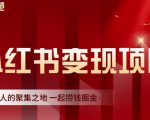 渣圈学苑·小红书虚拟资源变现项目，一起捞钱掘金价值1099元-乌龙学社