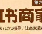 贾真-小红书商家营第6期商家版，21天带货陪跑课，让商家丢掉付流量-乌龙学社