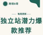 【跨境B哥】独立站潜力爆款选品推荐，测款出单率高达百分之80-乌龙学社