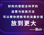 张sir账号流量增长课，告别海王流量，让你的流量更精准-乌龙学社