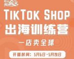 疯人院:TikTok Shop出海训练营（一店卖全球)，出海抢占全球新流量-乌龙学社