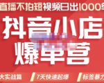 推易电商·2022年抖音小店爆单营，不直播、不拍短视频、日出1000单，暴力玩法-乌龙学社